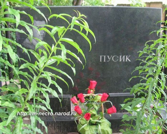 Клички на надгробиях (13 фото)