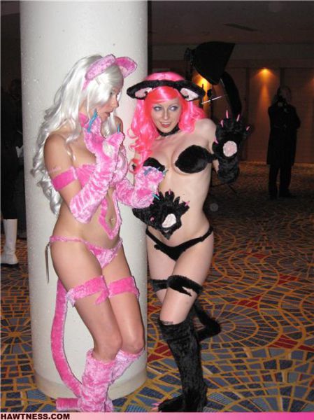  Women of WTF