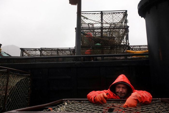   (Deadliest Catch) (31 )