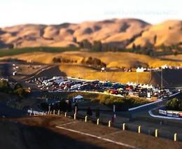 FD Sonoma- Tilt-Shift Formula