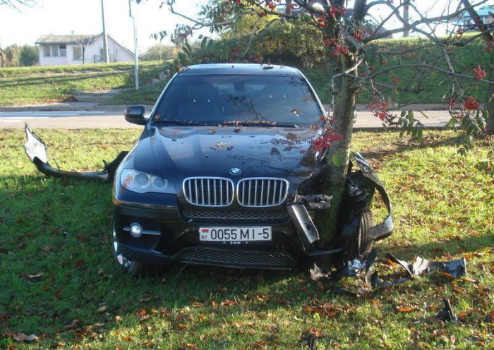   BMW X6 (7 )