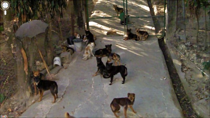   Google Street View (120 )