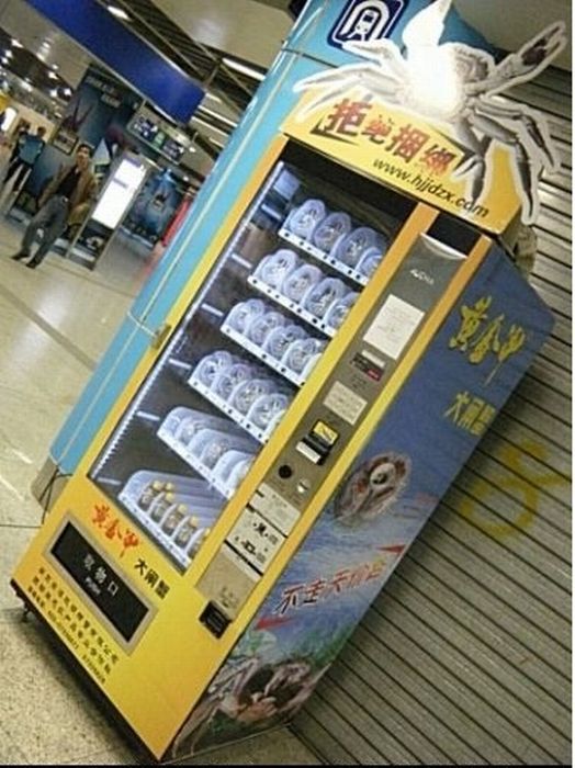 Автомат по продаже крабов (9 фото)