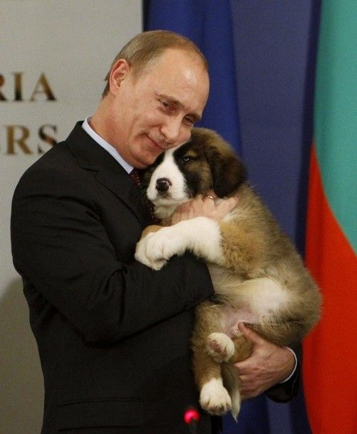 Владимир Путин любит животных (24 фтото)