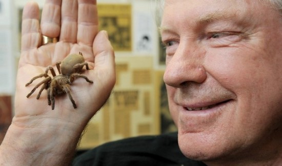 Австралийский “Человек-Паук” проведет три недели с ядовитыми пауками