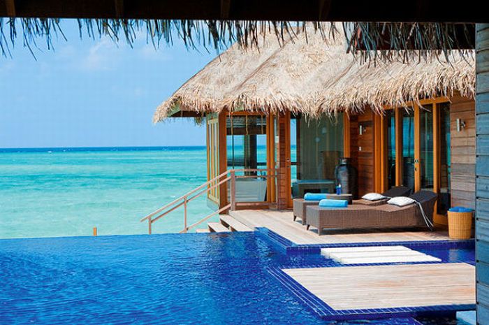 Гостиница Diva Resort на Мальдивах
