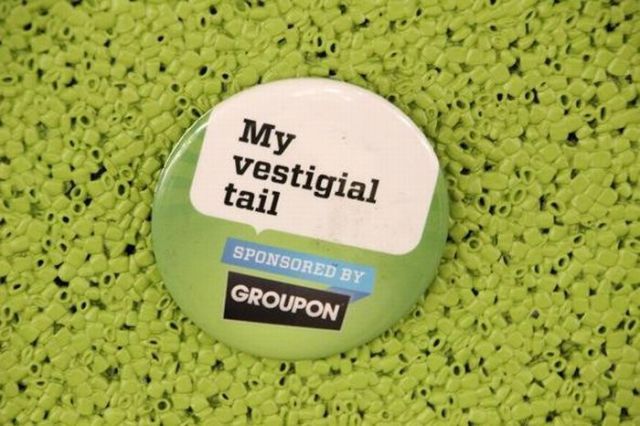   Groupon (50 )