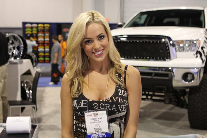    Sema 2010 (17 )