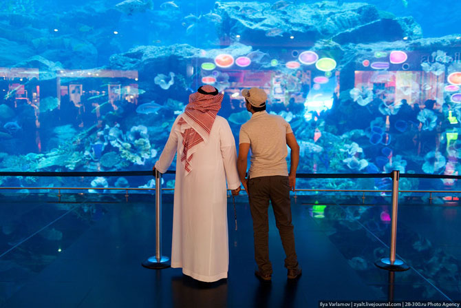 Самый большой аквариум в Дубае