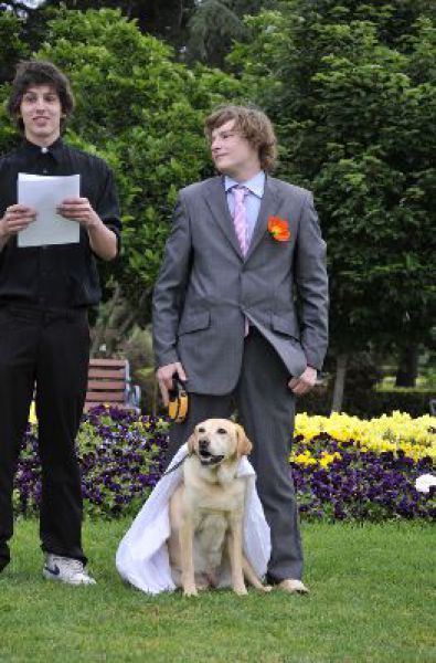 Свадьба на собаке