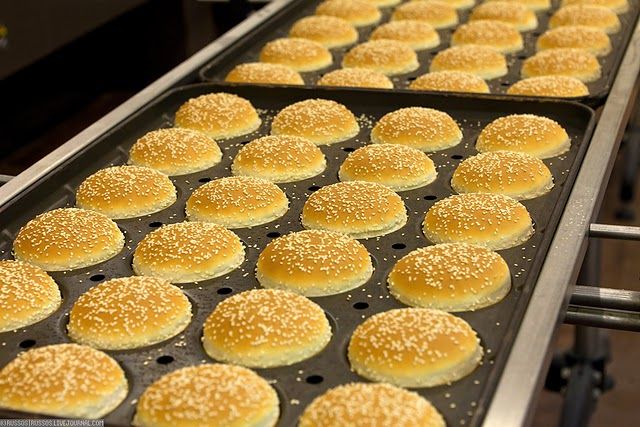Как делают булочки для МакДональдса (35 фото)