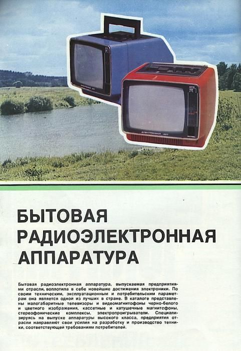    1981 .
