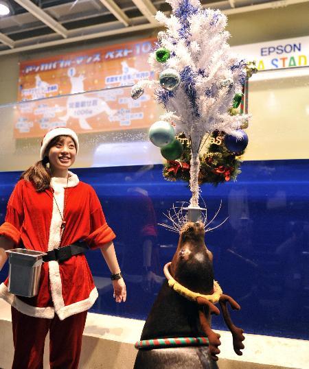 Рождественское шоу в Токио (8 фото)
