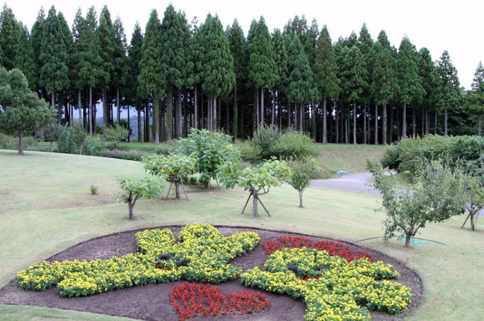 Японский парк цветов Тоттори (27 фото)