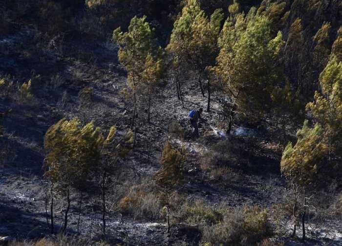 На севере Израиля бушуют пожары (40 фото)