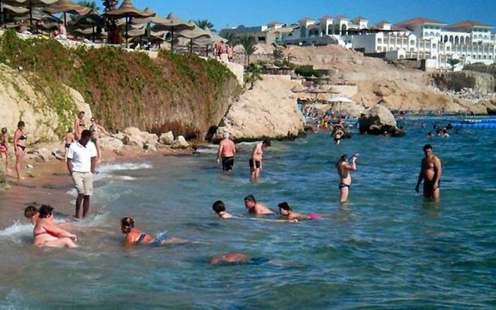 В Египте продолжаются нападения акул на туристов (15 фото)