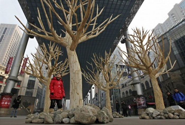 Как выращивают деревья в Китае