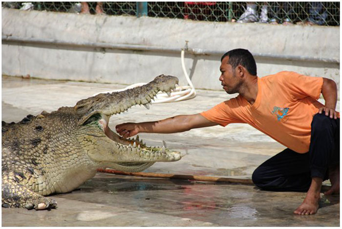   Crocodile Farm Langkawi