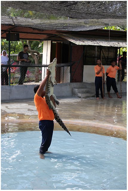   Crocodile Farm Langkawi