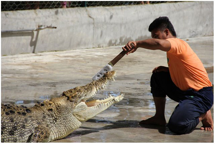   Crocodile Farm Langkawi