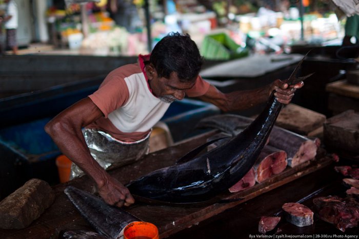 Рыбаки с Шри-Ланка