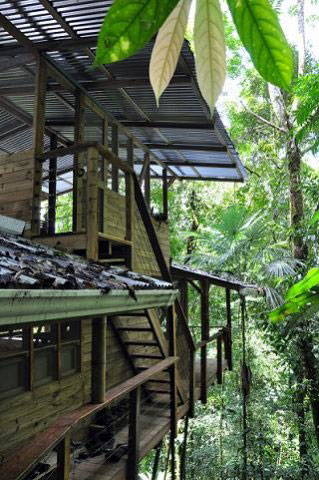 Экологическое комьюнити в джунглях Коста-Рики