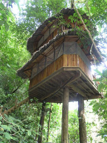 Экологическое комьюнити в джунглях Коста-Рики