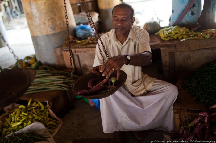 Прогулки по экзотическим рынкам Шри-Ланки