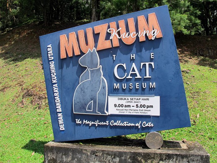 Фоторепортаж из музея кошек в Малайзии