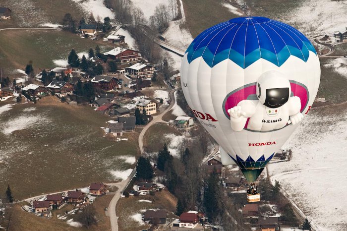Фестиваль воздушных шаров (51 фото)