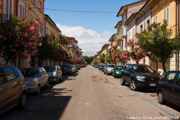  (Viareggio) -    