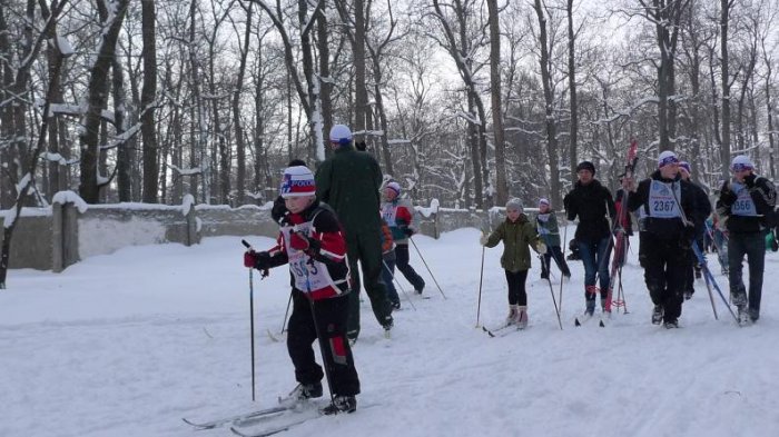 Соревнования на лыжах