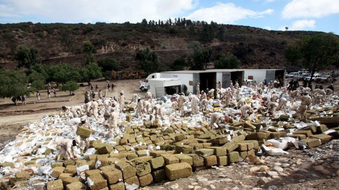 134 тонны конфискованной марихуаны