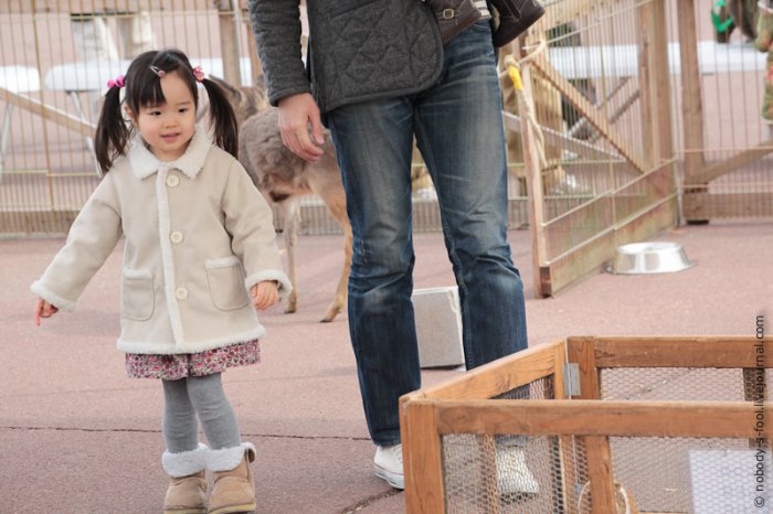 Детский зоопарк в Японии