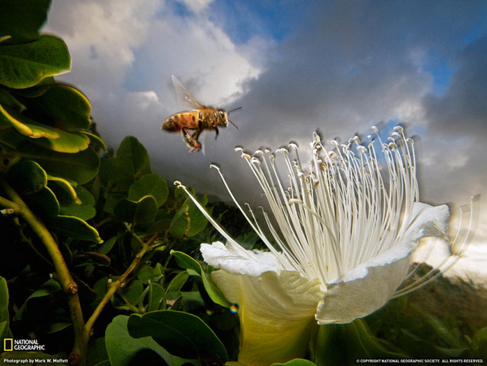  National Geographic   2011 (28 )