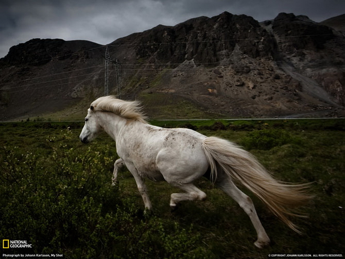  National Geographic   2011 (28 )