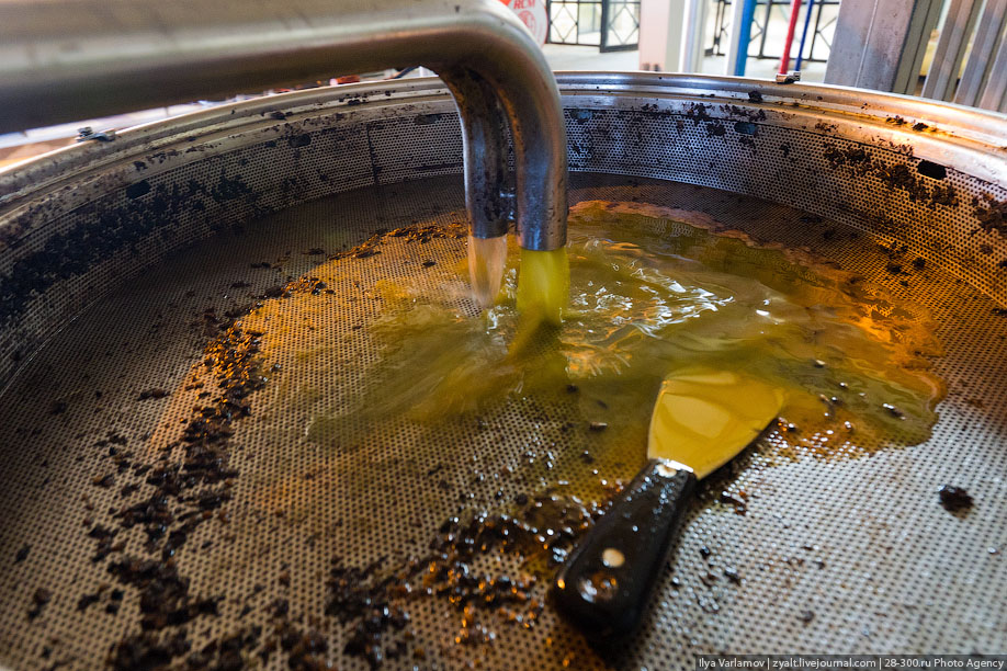 Производство оливкового масла. Масло подсолнечное. Отработанное подсолнечное масло. Процесс производства оливкового масла.