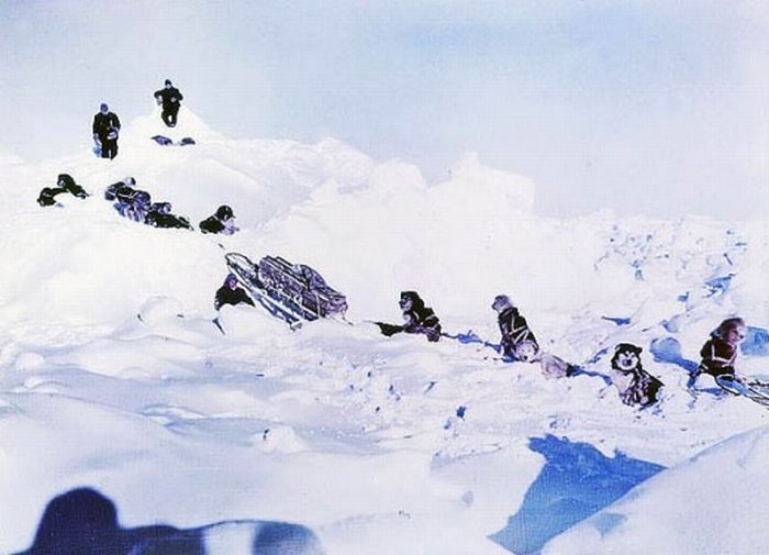 Антарктида 1915 года (10 фото)