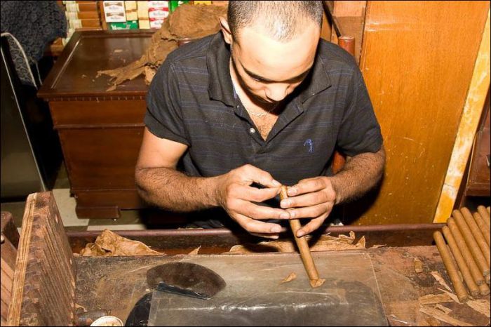 Как делают сигары в Доминикане (28 фото)