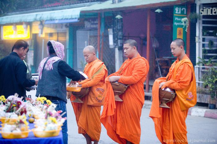 Сбор подаяния монахов в Таиланде