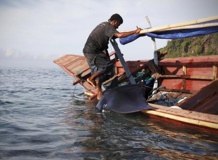 Охота на китов в Индонезии (23 фото)