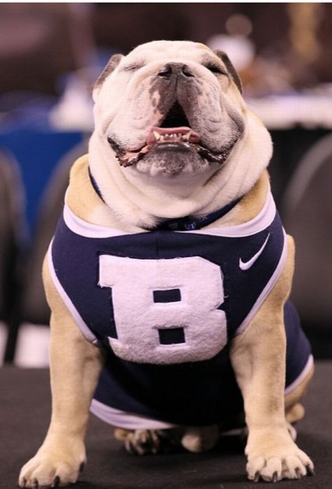  Butler Blue    Butler