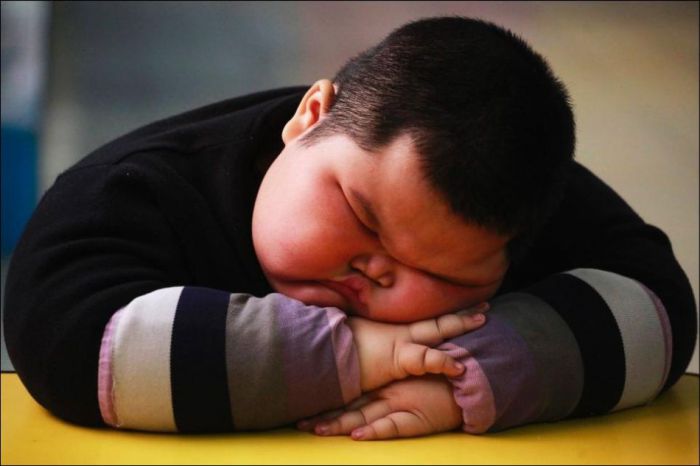 Толстячек Лу Хао из Китая (8 фото)