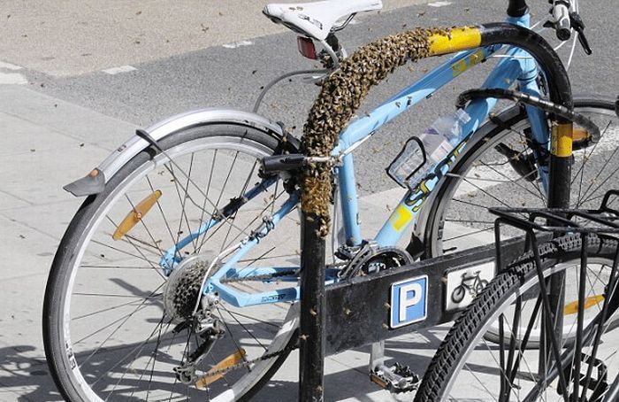Отличная защита от кражи велосипеда