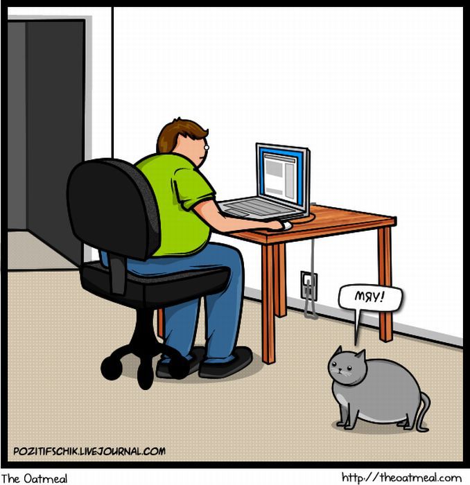 Кот vs Интернет