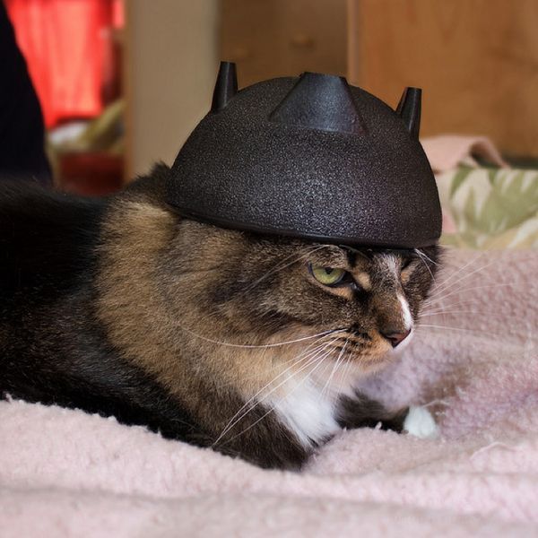 Кошачьи шлемы
