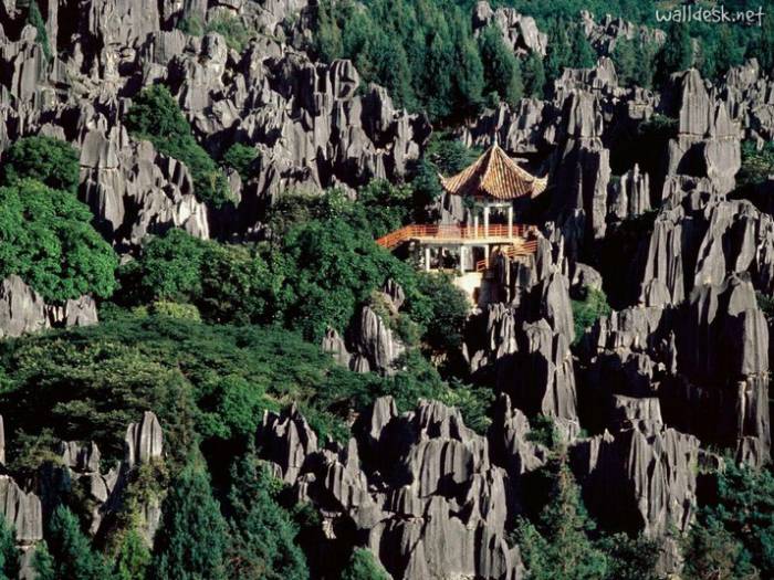 Каменный лес Шилинь в Китае (10 фото)