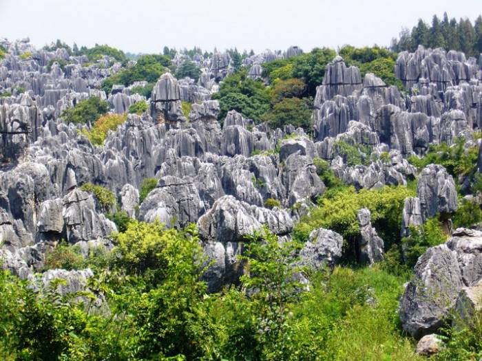 Каменный лес Шилинь в Китае (10 фото)