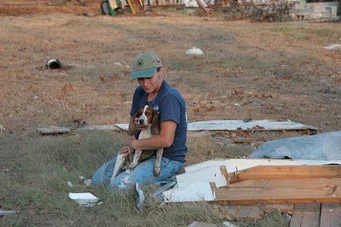 Спасение собак после торнадо в США (10 фото)
