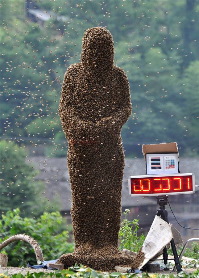 Удержал 27 килограммов пчел (6 фото)